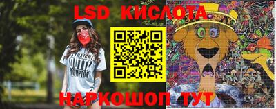 PSILOCYBIN Кулебаки