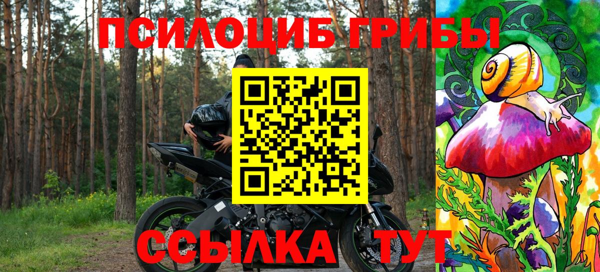 Галлюциногенные грибы Cubensis Волжский
